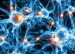 ATP and Hydrogen water